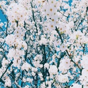 Meet your Posher, Wynter